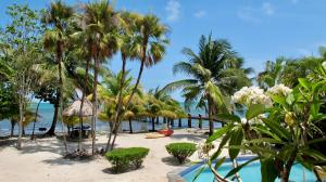 a beach with palm trees and the ocean at Beachfront Bungalow-Pool & Oceanfront-Views-Golf in Seine Bight Village