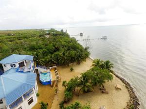 an aerial view of a house on a beach next to the water at Beachfront 3-Bed, 2-Bath Family Getaway with Pool in Placencia