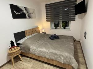 a bedroom with a large bed and a window at Apartament W Cieniu Twierdzy in Kłodzko