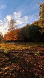 a park with a bench in a field with trees at Refugio El Rocio lodge tinaja,piscina,bosque in Nacimiento