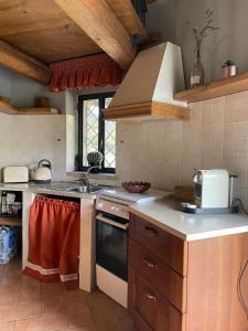 a kitchen with a sink and a stove top oven at Noce Melano in Montattico