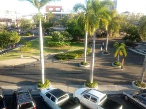 a parking lot with parked cars and palm trees at Hotel Libano in San Francisco de Macorís
