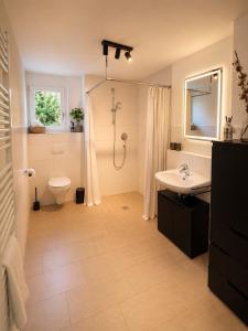 a bathroom with a shower and a toilet and a sink at Design Apartment 6 am Titisee mit Kamin, E-Ladestation, Balkon, Top Lage in Titisee +16 photos