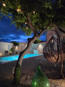 a tree with a swing in front of a pool at B&b Ètoile Salento in Arnesano