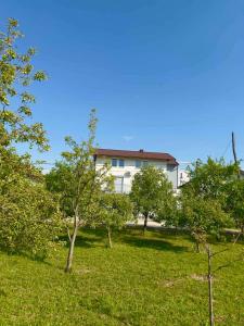 a white building in the middle of a field with trees at Apartman Riverside Ripač in Ripač