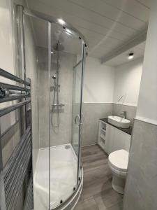 a bathroom with a shower and a toilet and a sink at Beautiful Spacious Flat in Oxford