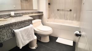 a bathroom with a toilet and a sink and a shower at Hotel American Blessing in Bogotá