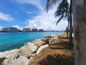 a beach with palm trees and the ocean with buildings at Stardust Hotel in Miami Beach
