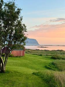 a tree and a red shed in a field with the ocean at Lux Apartment Gravdal in Gravdal