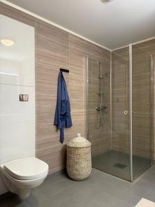 a bathroom with a toilet and a glass shower at Lux Apartment Gravdal in Gravdal