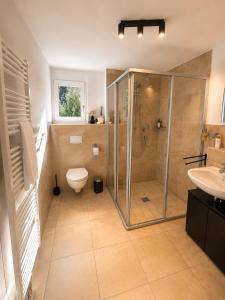 a bathroom with a shower and a toilet and a sink at Design Apartment 5 am Titisee mit Kamin, E-Ladestation, Balkon, Top Lage in Titisee-Neustadt +10 photos