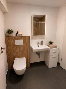 a bathroom with a white toilet and a sink at Moderne Terrassenwohnung mit privatem Eingang in Ennepetal