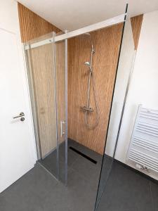 a shower with a glass door in a bathroom at Moderne Terrassenwohnung mit privatem Eingang in Ennepetal