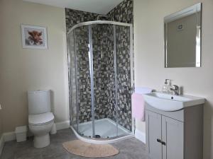 a bathroom with a shower and a toilet and a sink at Meadow View in Kilkenny +19 photos