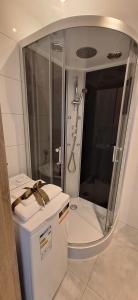 a small bathroom with a shower and a toilet at Zielone Okno Apartament w Augustowie blisko jeziora i centrum in Augustów +12 photos