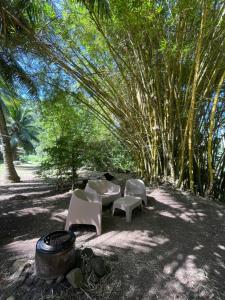 a group of chairs and tables in the shade of trees at Hiariki Lodge in Hiva Oa