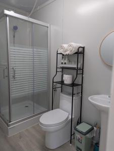 a bathroom with a shower and a toilet and a sink at AsunEus Farm in Carmen +40 photos