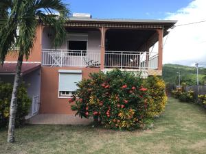 a house with a palm tree in front of it at Philippe & Arlette SMITH in Sainte-Luce