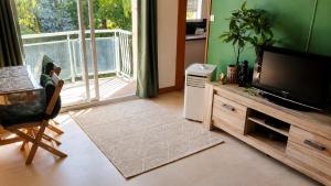a living room with a flat screen tv and a chair at Appartement thème jungle in Avallon