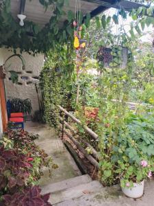 a garden with a bunch of flowers and plants at Casa del Sol Tumbabiro in Tumbabiro +2 photos