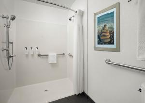 a bathroom with a shower and a tub and a toilet at Starfish Manor Oceanfront Hotel in Lincoln City +34 photos