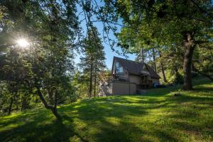 a house in the middle of a grassy hill with trees at Hygge Haus Sequoia - Large Private Cabin w Views in Ponderosa