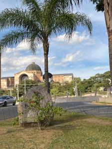 a palm tree and a rock in front of a building at Casa para 9 pessoas a poucos passos do Santuário de Aparecida in Aparecida