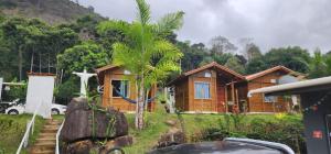 a wooden house with palm trees in front of it at Pousada Hostels Foryou in Ibiraçu