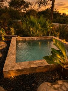 a swimming pool in a garden with a stone bench at lux bungalows in Santa Catalina
