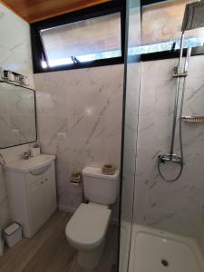 a bathroom with a toilet and a shower and a sink at Rincon de Luna, Cabañas in Mar del Plata +14 photos