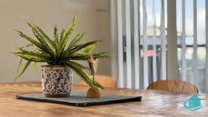 a potted plant sitting on top of a wooden table at Beachside Oasis in Caves Beach