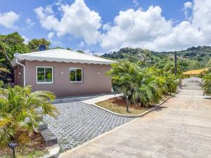 a house with palm trees and a driveway at Dlo Lanmou in Ducos
