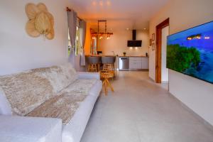 a living room with a couch and a large flat screen tv at Dlo Lanmou in Ducos +9 photos