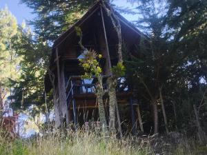a log cabin in the woods with trees at Cabañas Del Árbol n2 in Tres Esquinas