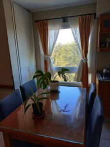 a dining room table with plants and a window at Depto en Edificio Céntrico in Trelew