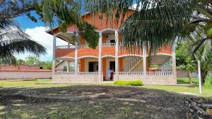 a house with a palm tree in front of it at Casarão da ilha in Ilha Cotejuba