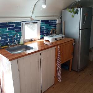 a kitchen with a counter with a sink and a refrigerator at Mostepa in Carpintería