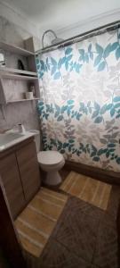 a bathroom with a toilet and a shower curtain at Cabañas Rapanui keka in Hanga Roa +24 photos