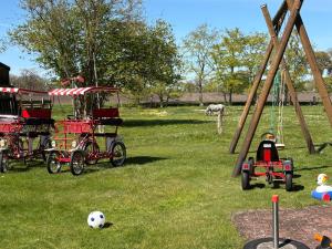 a group of childrens play equipment in a field at Ferienhaus Franzen 35679 in Uplengen