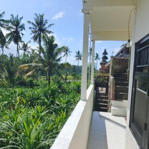 a view from the balcony of a house with palm trees at Pondok Diana 3 in Jasri