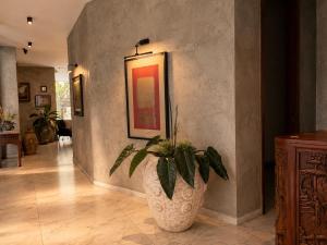 a vase with a plant in the corner of a room at DreamHaus Suites - Country Club Guadalajara in Guadalajara