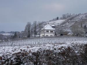a house in a vineyard covered in snow at Ferienwohnung Nessler in Radebeul