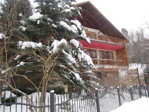 Willa M cisza w centrum miasta في كرينيتسا زدروي: شجرة عيد الميلاد مغطاة بالثلج أمام المنزل