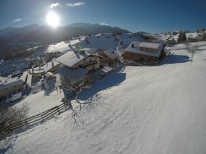 wolf.tirol v zime