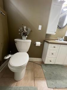 a bathroom with a white toilet and a sink at Luxurious Vacation in Welland