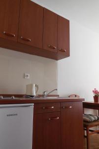 Kuchyň nebo kuchyňský kout v ubytování Apartments Maslina