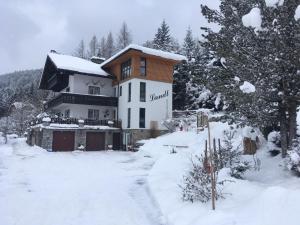une maison dans la neige à l'avant dans l'établissement Haus Landl, à Haus im Ennstal