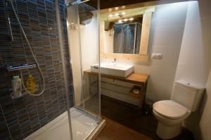 a bathroom with a toilet and a sink and a shower at PINTORES ROOMS Apartamentos Turísticos in Cáceres