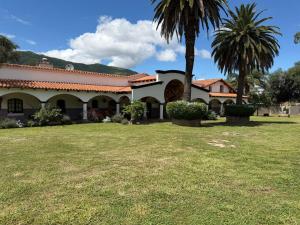 a house with a palm tree in the yard at La mansión in Salta