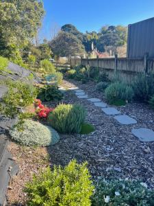 a garden with plants and rocks and a fence at Hideaway Haven in Raglan